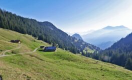 ussers läger uf dr gumm